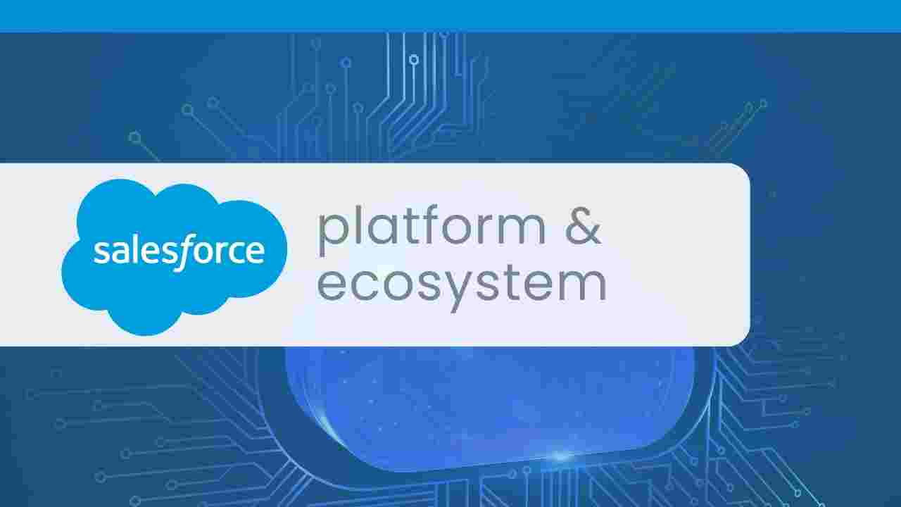 Salesforce Platform & Ecosystem