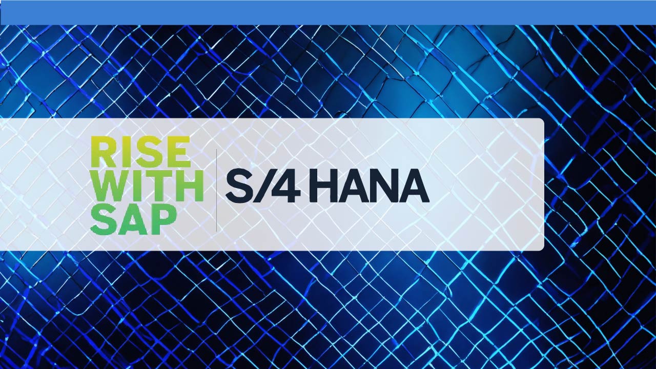 Rise With Sap S4hana